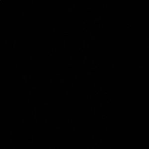 Meet your Posher, Maurice